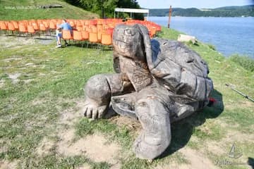 domasa_dobra_51