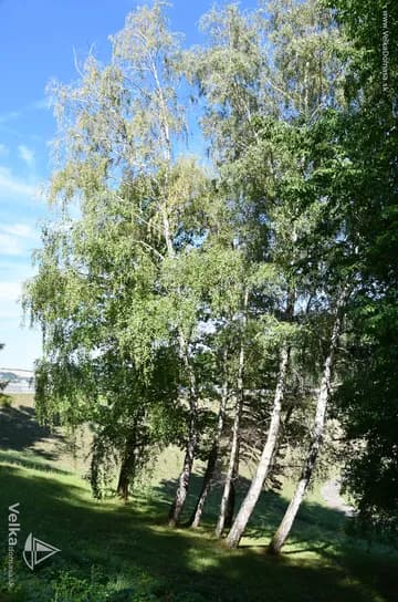 hradza_domasa_54