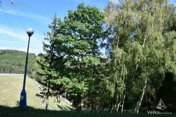 hradza_domasa_55