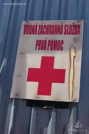 Tisava_Domasa_92