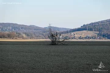 DSC_8352