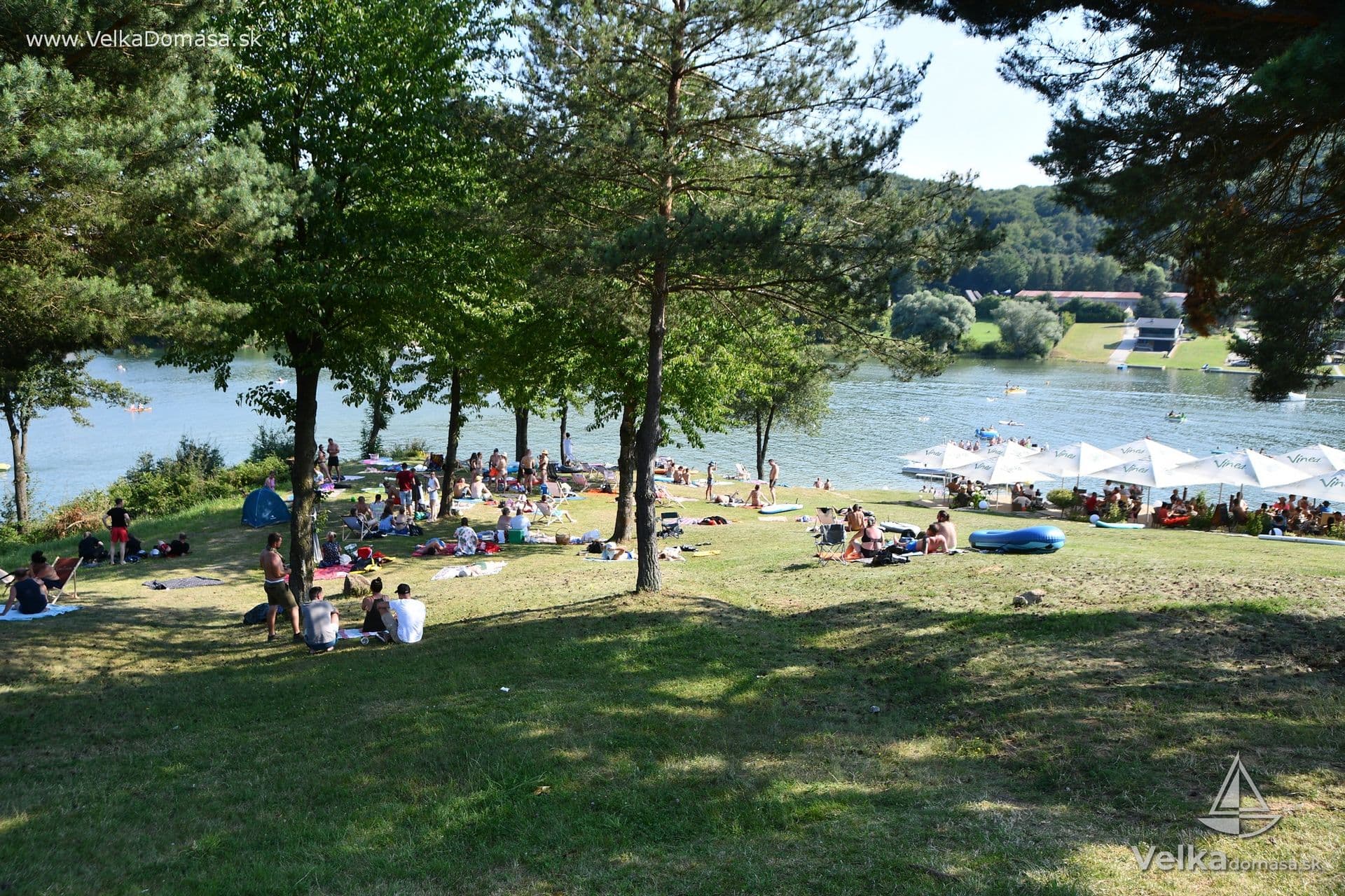 domasa_dobra_45